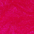 Glossy Dragonfruit 5ml
