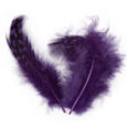 Nailart Federn violett