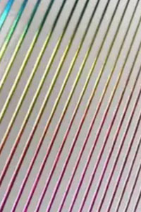Stripes Rainbow