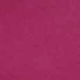 Farbgel Grace Berry 5ml