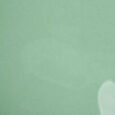 Farbgel Green Tea 5ml