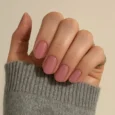 Shellack Brandied Apricot